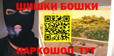 индика Можайск