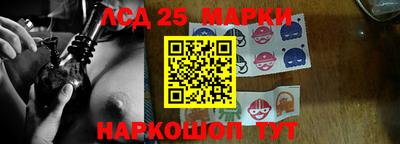 индика Можайск