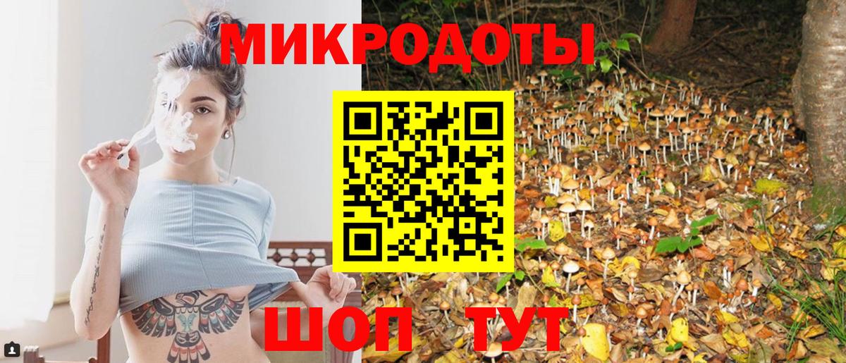 Галлюциногенные грибы MAGIC MUSHROOMS  Псилоцибиновые грибы GOLDEN TEACHER  Фрязино  Вход с VPN 