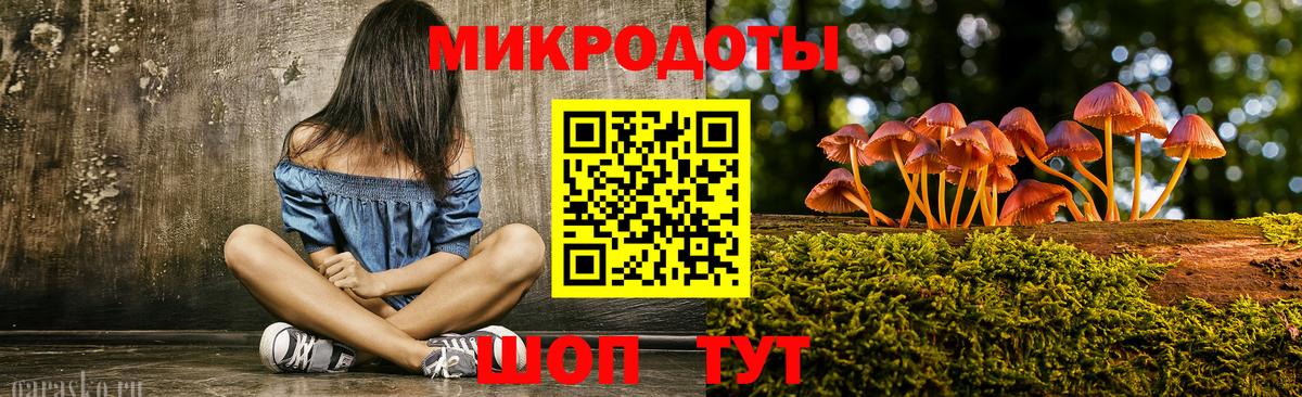 Галлюциногенные грибы Psilocybine cubensis Фрязино